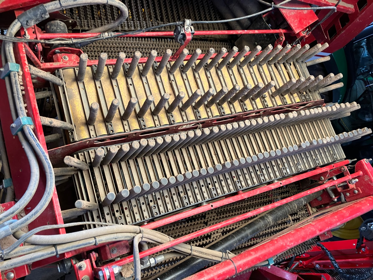 Arracheuse de pommes de terre GRIMME SE260 - photo slide 16