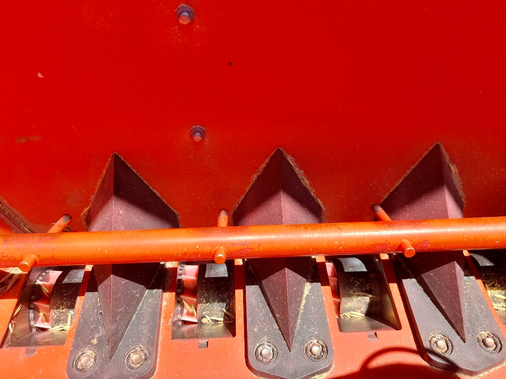 picture slide 6