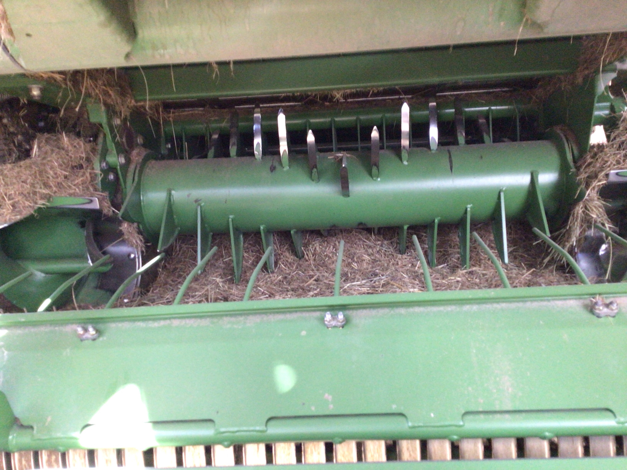 picture slide 10