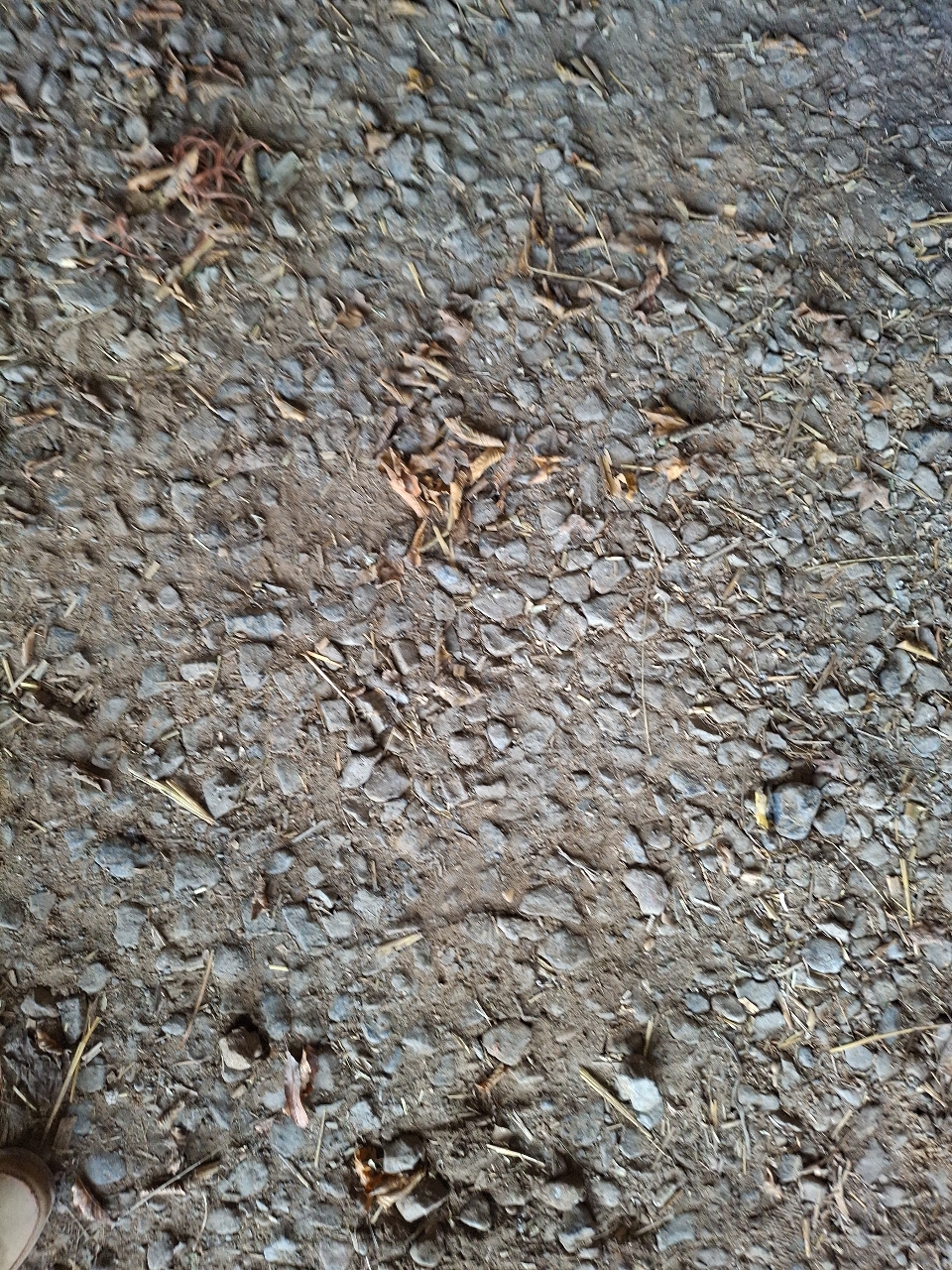 picture slide 13